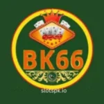 BK66