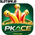 PKACE GAME