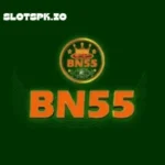 BN55