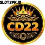 cd22-game-image.webp