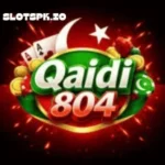 Qaidi 804