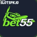 bet55-best-pakistani-earnin-platform.webp