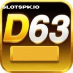 D63